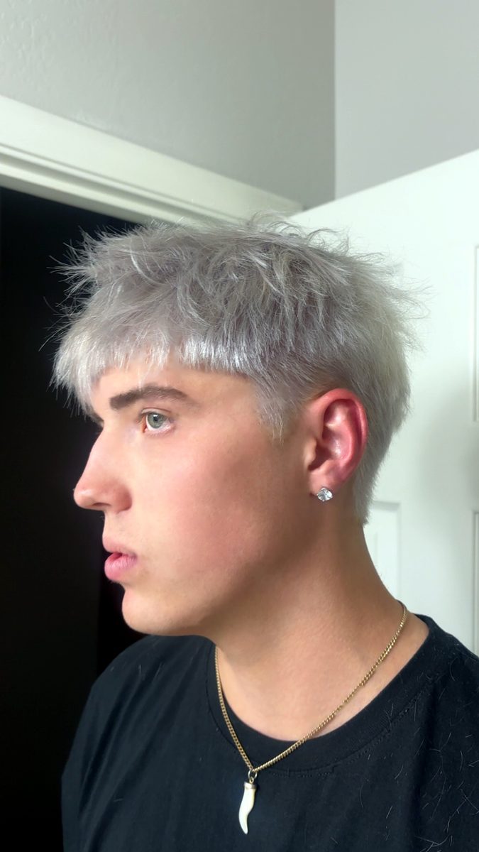 Silver platinum blonding, textured crop, profile by Leila Lee